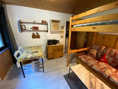 Studio 18 m² à La Bresse, cuisine équipée et accès montagne : photo 13