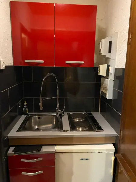 Studio 18 m² à La Bresse, cuisine équipée et accès montagne : photo 14