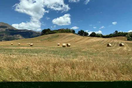 Casa Giglio, ferme toscane pour 14 personnes : photo 37