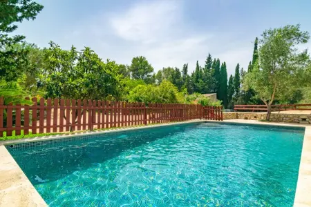 Sa Tortugueta, villa 6 pers. Artà avec piscine privée : photo 35