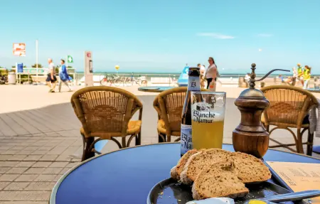Appartement vue dunes avec terrasse couverte à Ostende : photo 25