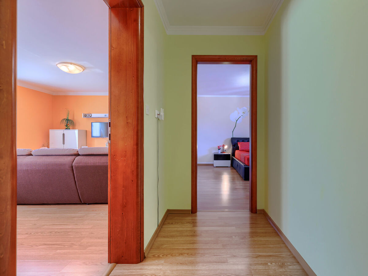 Maison Soriso à Motovun, piscine privée - Photo 32