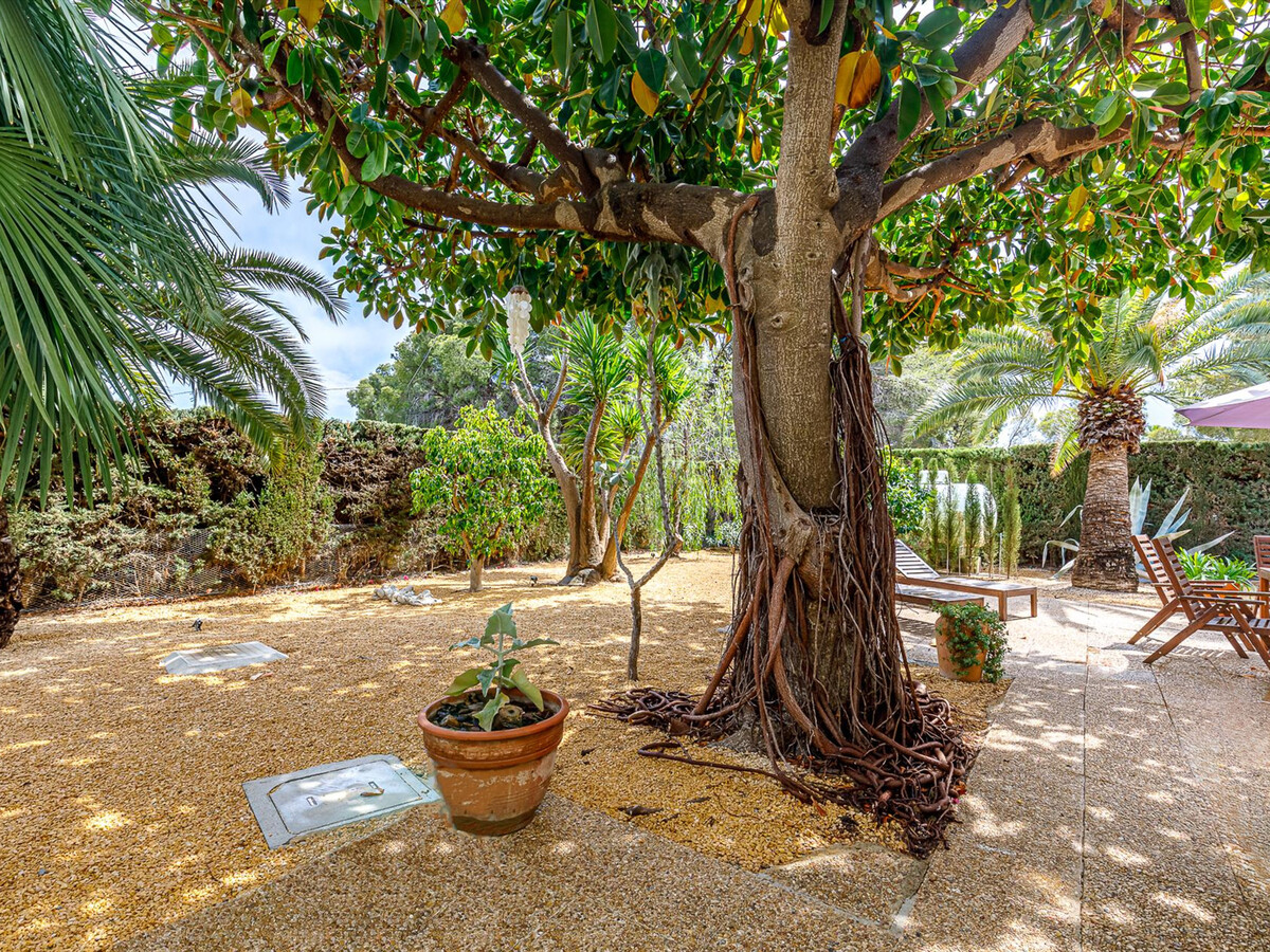 Villa 3 chambres Altea : piscine privée 8x4m, 1 km plage - Photo 23