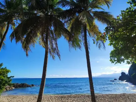 Appartement avec accès direct plage et terrasse, Le Gosier : photo 6