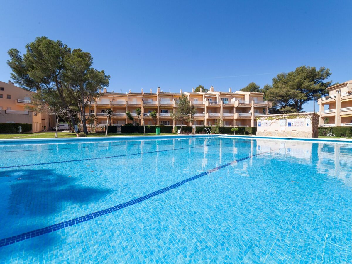 Guardamar – Appartement 6 pers. à 10 m de la mer - Photo 20