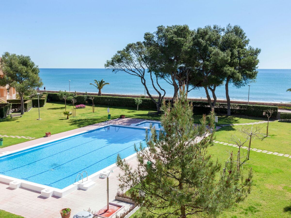 Guardamar – Appartement 6 pers. à 10 m de la mer - Photo 22