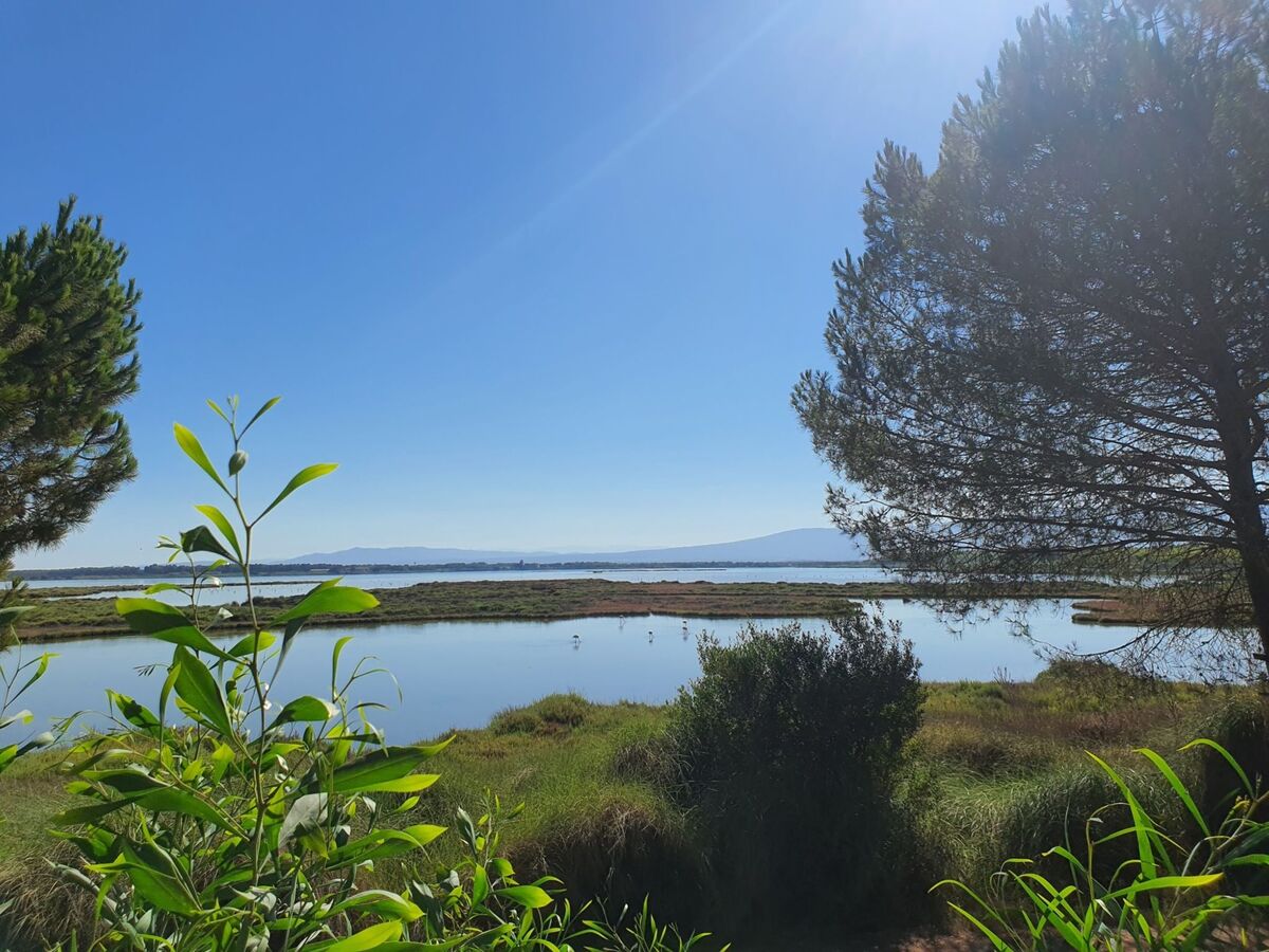 Maison S'Ena Arrubia à 200 m de la plage - Photo 24
