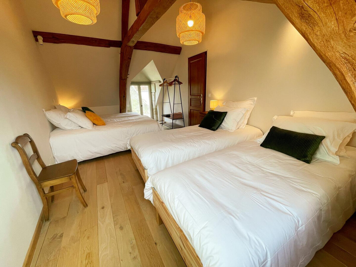 Gîte 10 pers. avec terrasse 1000 m² à Chédigny - Photo 30