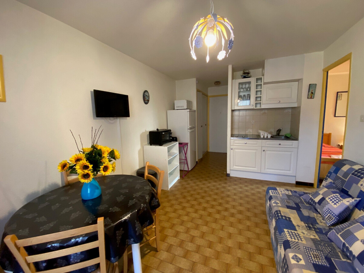 Appartement 28 m² près des thermes, animaux acceptés - Photo 8