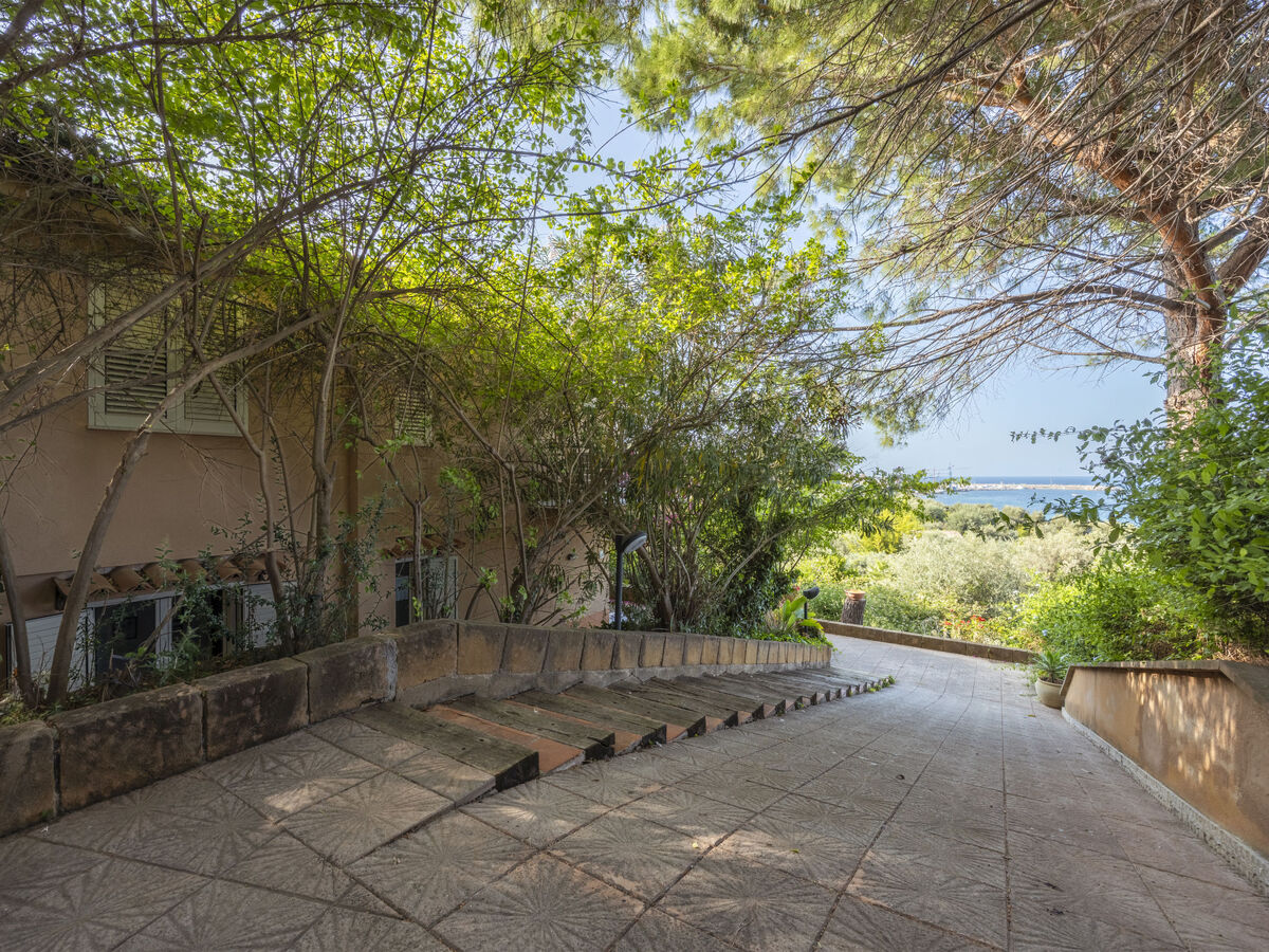 Appartement Cicladi Amorgos à 100 m de la mer - Photo 23