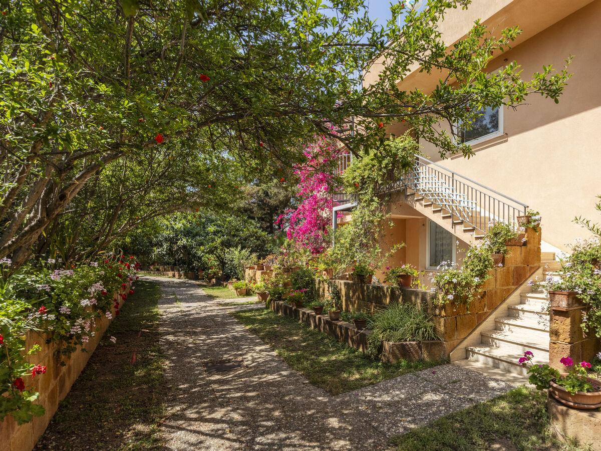 Appartement Cicladi Naxos, 4 pers., 100 m de la plage - Photo 20