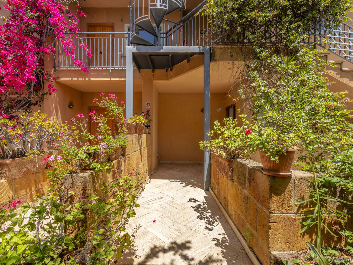 Cicladi Anafi – Appartement 40 m² terrasse, vue mer - Photo 20