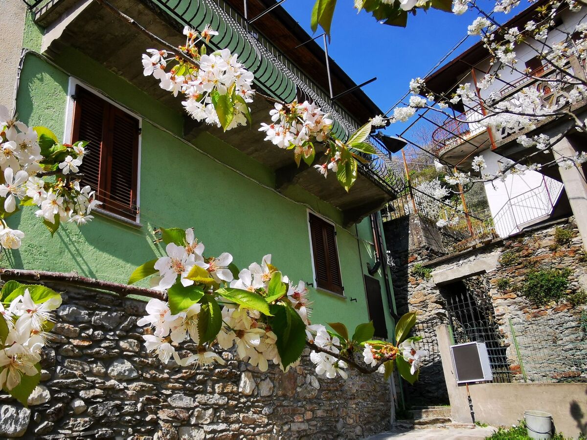 Apt 2 pièces avec jardin et vue lac à San Siro - Photo 23