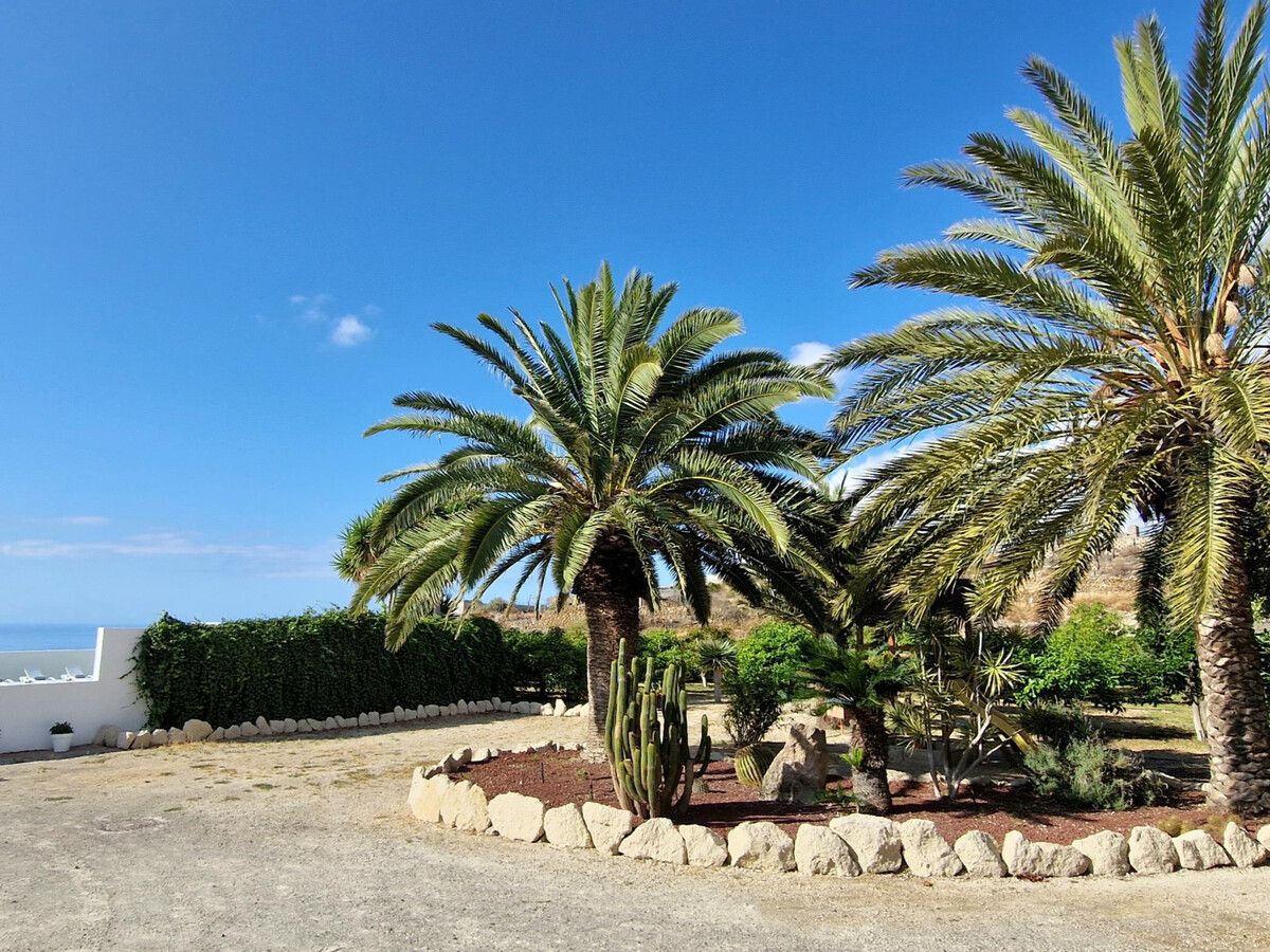 Villa El Escobonal : 6000 m² privés avec piscine à Tenerife - Photo 7
