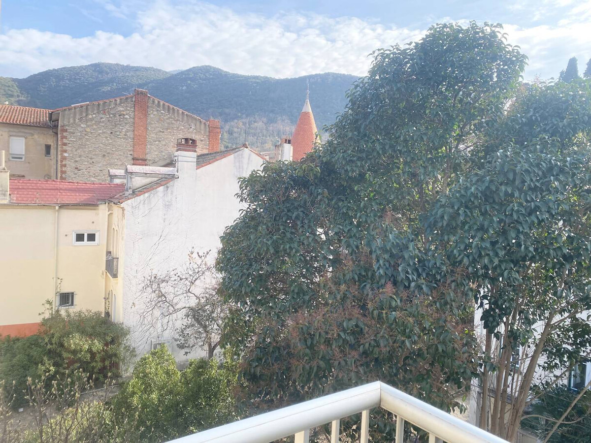 Studio 25 m² centre-ville, balcon sud, animaux admis - Photo 3