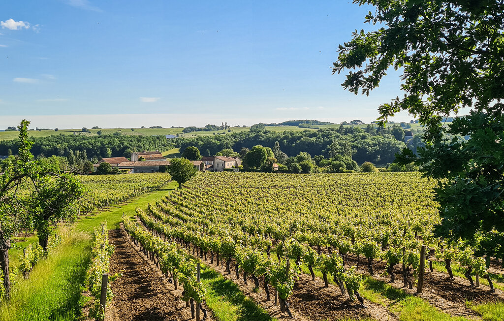 Maison 10 pers. vignobles avec piscine chauffée - Photo 9