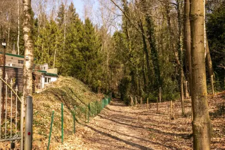Het Boshuis, maison 8 pers. en forêt à Lanklaar : photo 33