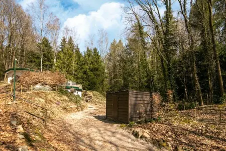 Het Boshuis, maison 8 pers. en forêt à Lanklaar : photo 34