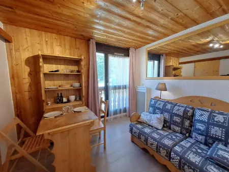 Location appartement à Les Deux Alpes, Studette rénovée 2 personnes, centre Les Deux Alpes