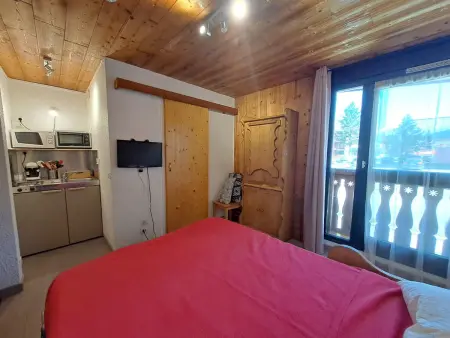 Studette 12m² pied des pistes aux Deux Alpes : photo 8