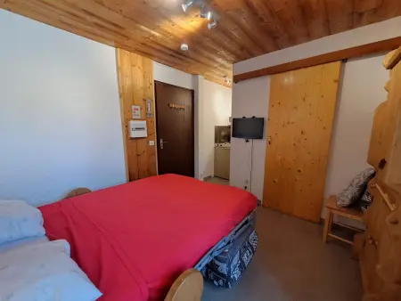 Studette 12m² pied des pistes aux Deux Alpes : photo 9