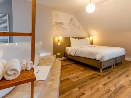 Gîte écologique de luxe jusqu'à 13 pers avec spa, animaux acceptés, parking et WiFi aux Riceys - Photo 1