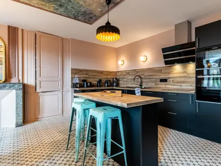 Gîte écologique de luxe jusqu'à 13 pers avec spa, animaux acceptés, parking et WiFi aux Riceys - Photo 7