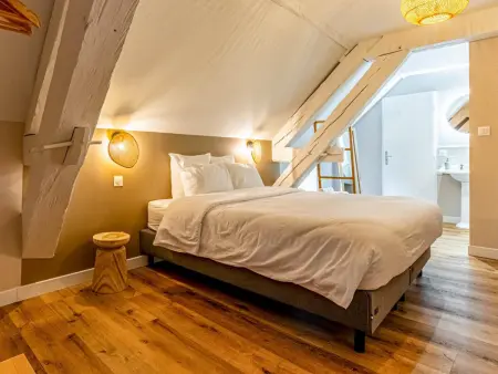 Gîte écologique de luxe jusqu'à 13 pers avec spa, animaux acceptés, parking et WiFi aux Riceys - Photo 22
