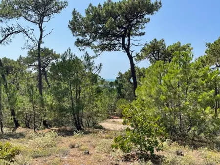 Maison confortable à 300 m de la plage, animaux acceptés - Photo 11