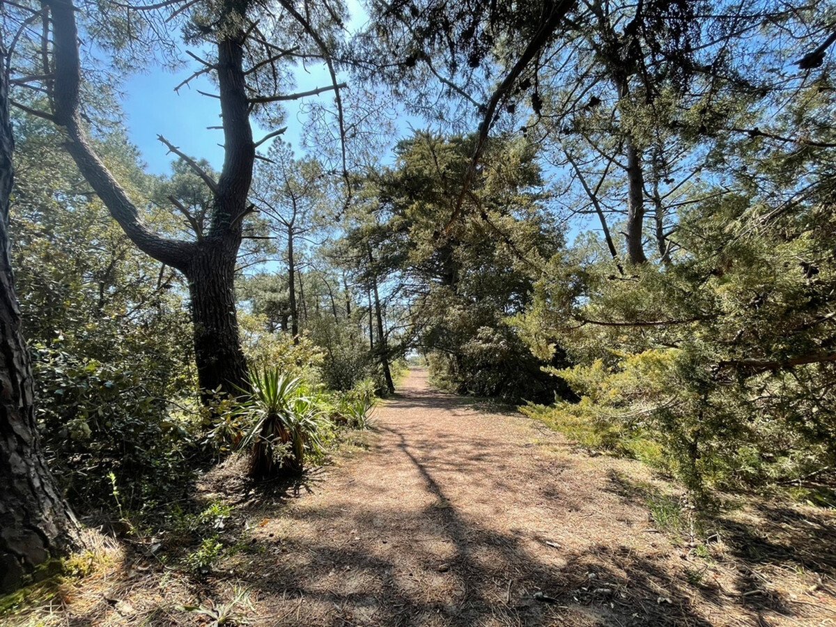 Maisonnette 27m² avec jardin à Barbâtre, 400m plage - Photo 9