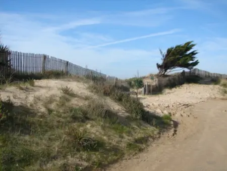 Maison 75m² à 50m de la plage, 8 pers, animaux OK : photo 15