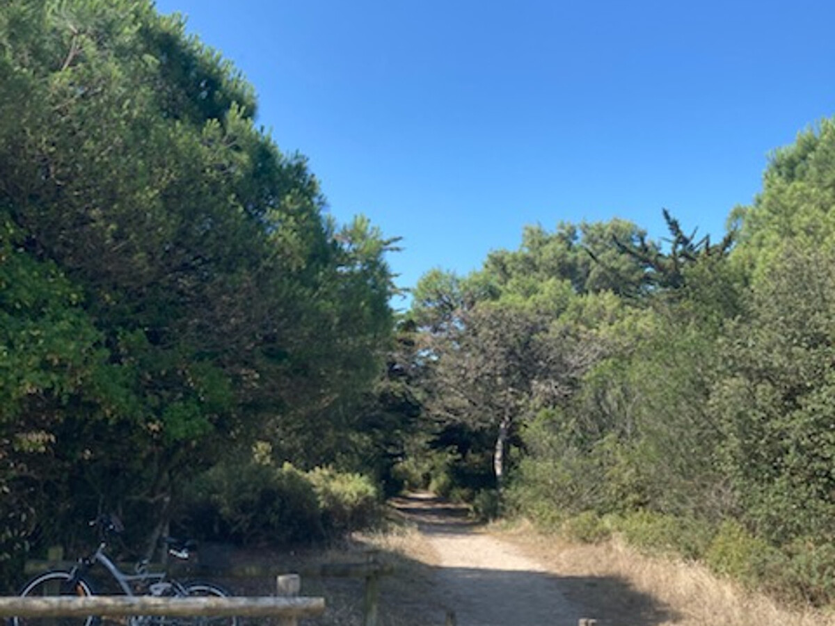 Maisonnette 4 pers. à 30m de la plage à Barbâtre - Photo 9