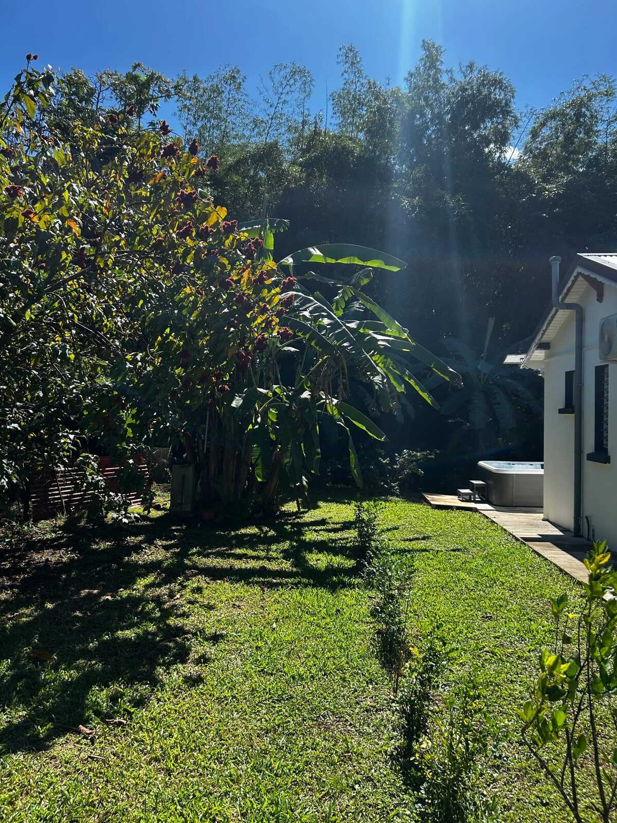 Maison 1 chambre avec jardin à Lamentin - Photo 19