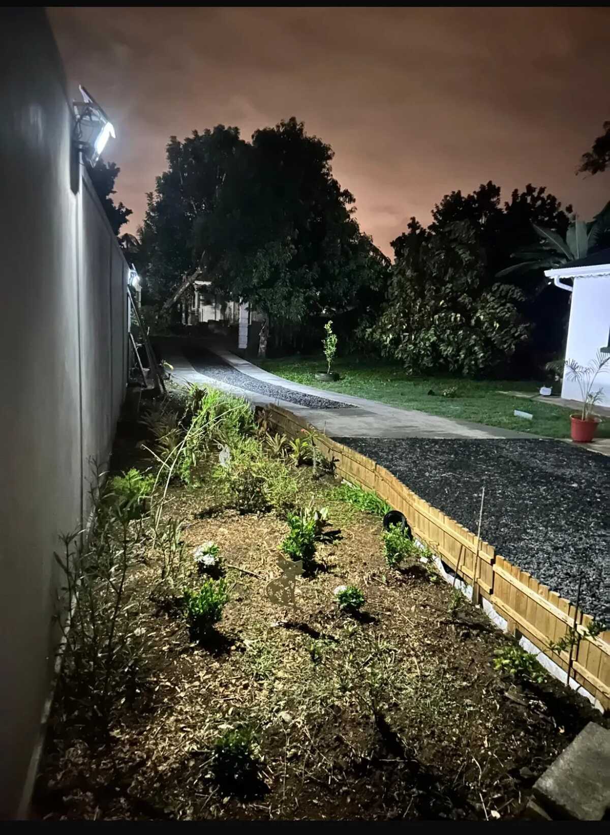 Maison 1 chambre avec jardin à Lamentin - Photo 21