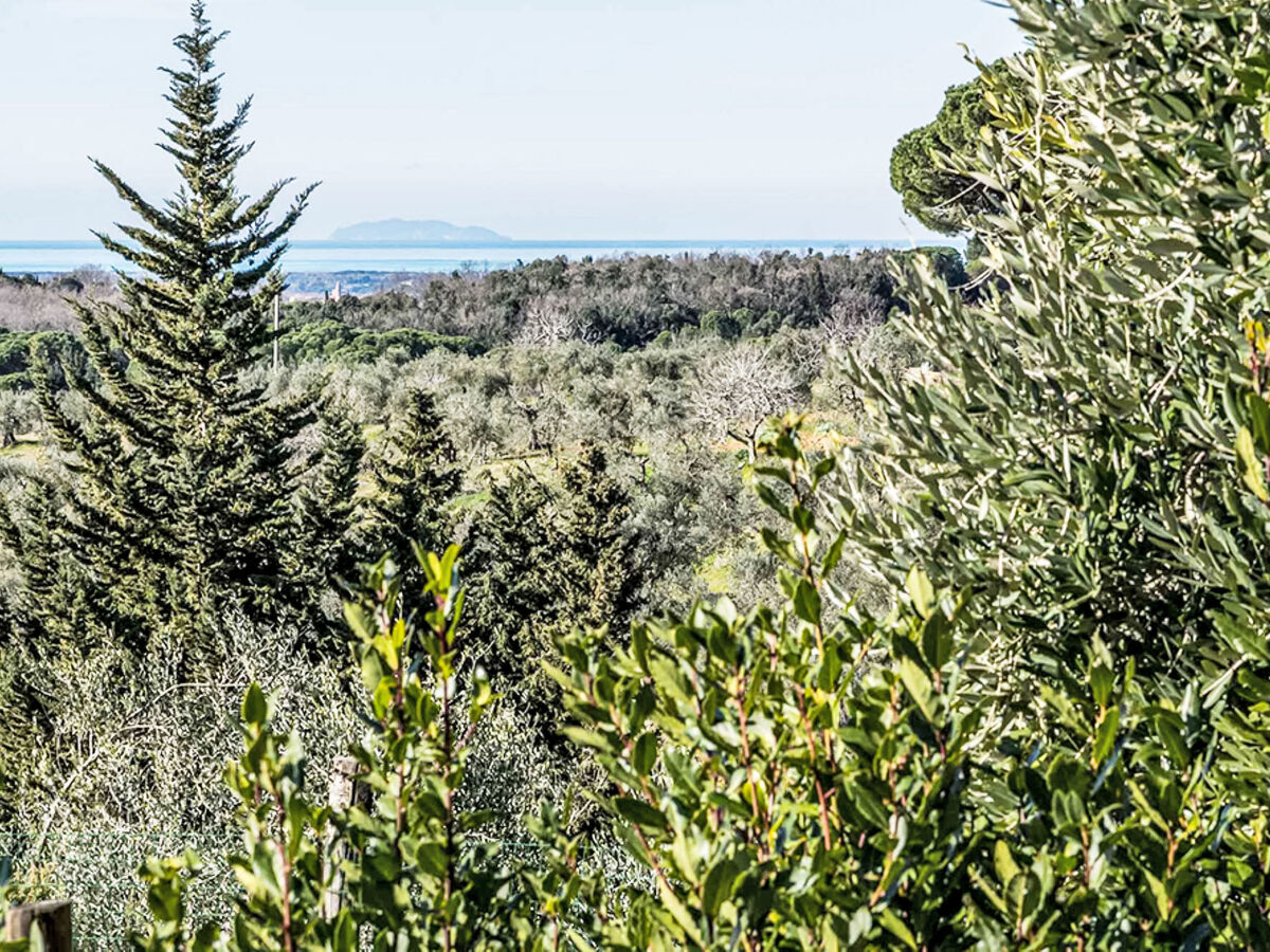 Maison Tramontina – vue mer, terrain 500 m² à Guardistallo - Photo 24