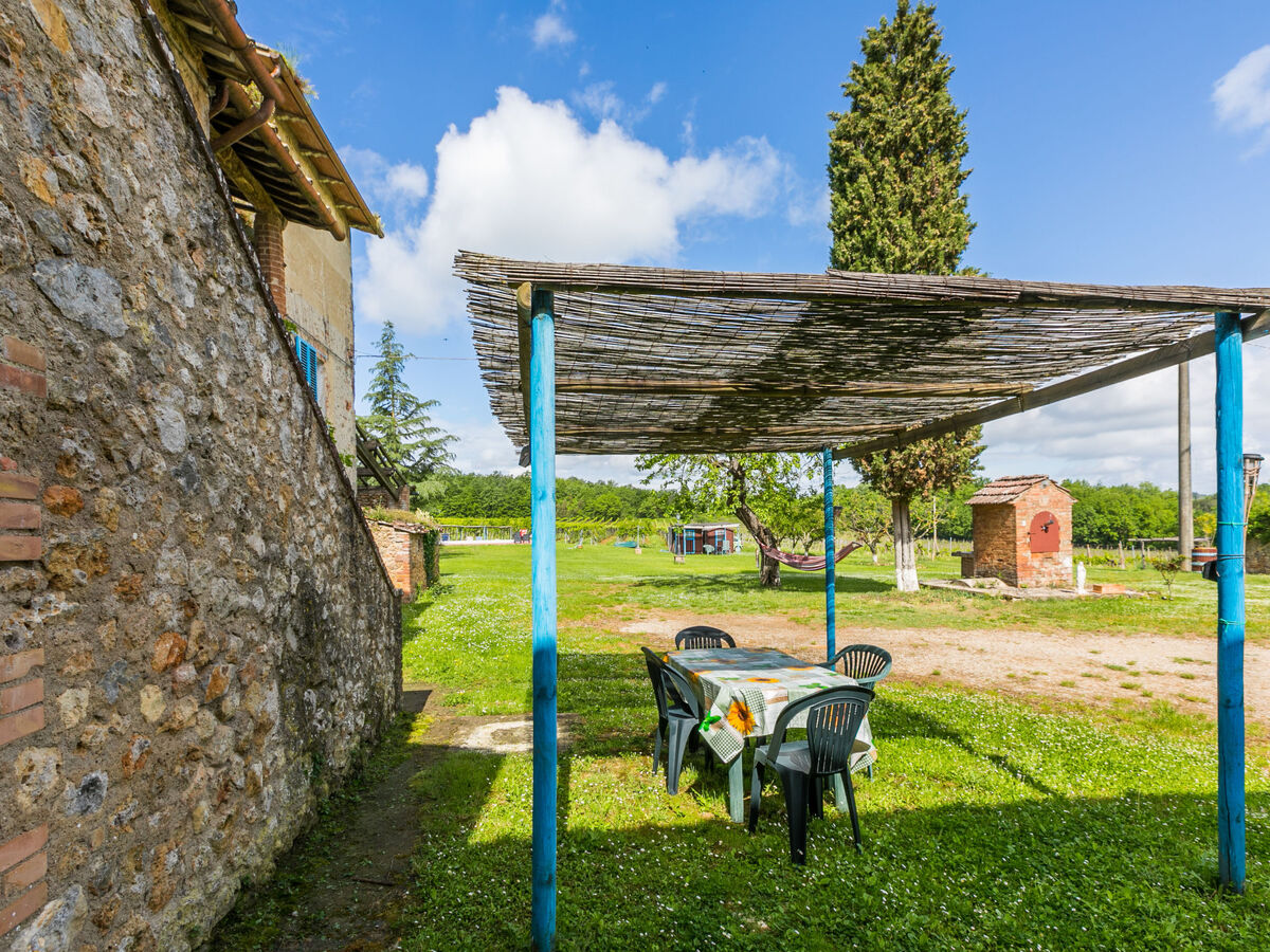 Fattoria Petraglia – Gîte 23 pers. Monteriggioni - Photo 33