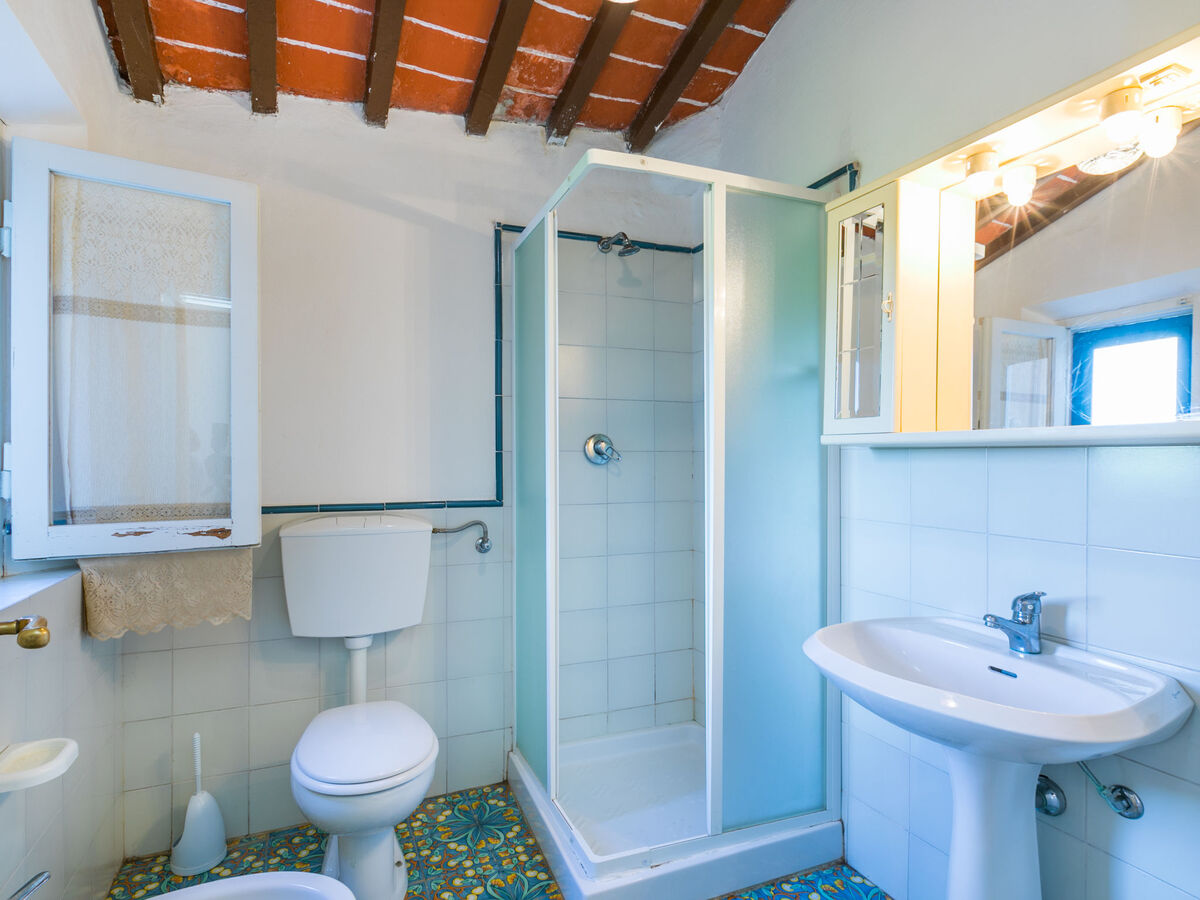 Fattoria Petraglia – Gîte 23 pers. Monteriggioni - Photo 40