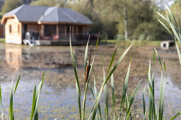 Cabane en bois avec vue sur l'eau à Vencimont - Photo 31