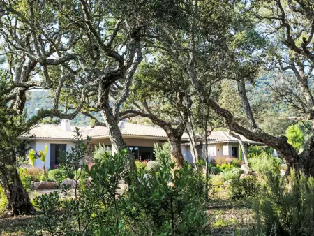 Villa La Cupulatta – piscine privée à 2,4 km de la mer - Photo 24