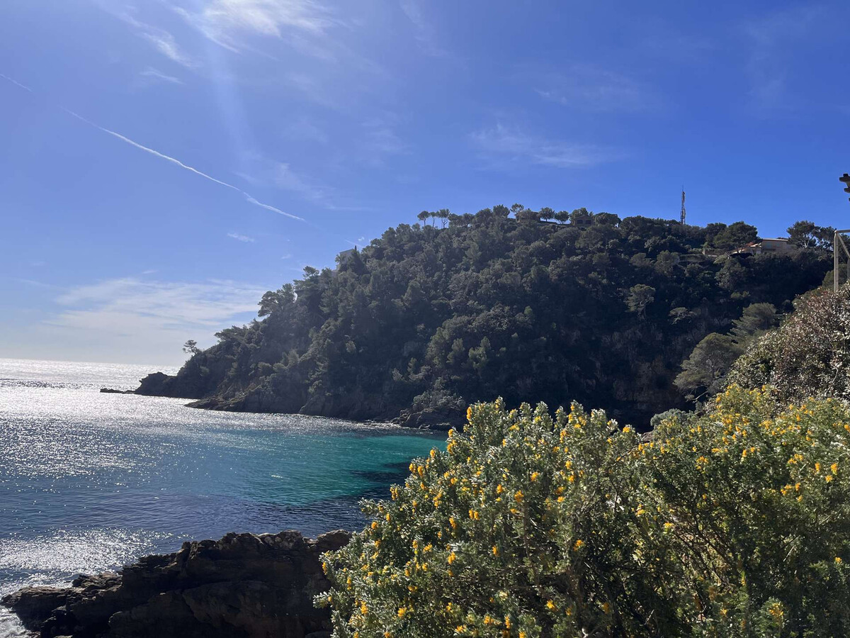 T3 climatisé avec 2 terrasses à Cavalaire-sur-Mer - Photo 21