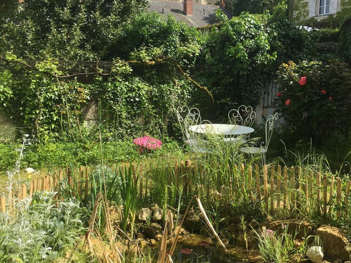 Gîte XIXè de charme à Candes-St-Martin avec jardin clos - Photo 5