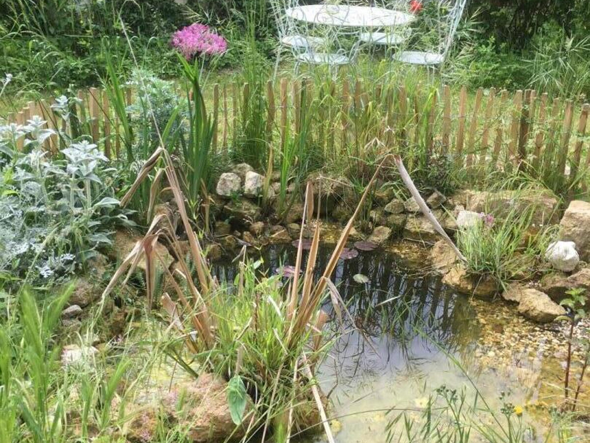 Gîte XIXè de charme à Candes-St-Martin avec jardin clos - Photo 31