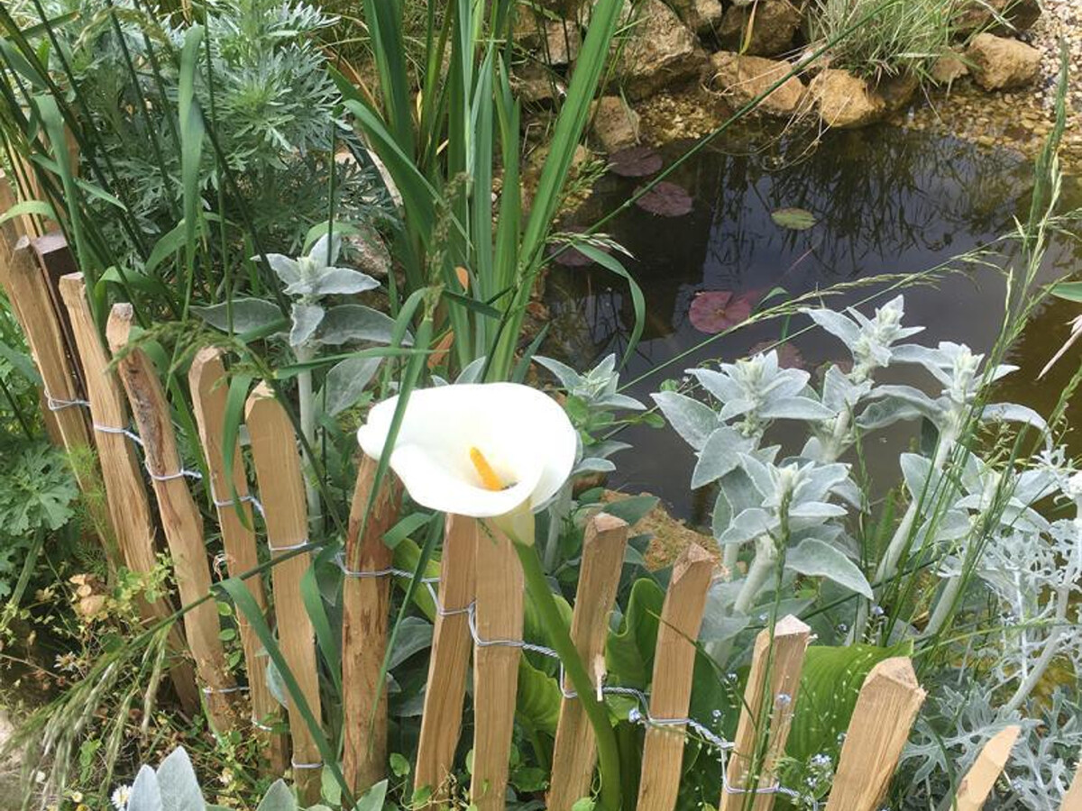 Gîte XIXè de charme à Candes-St-Martin avec jardin clos - Photo 32