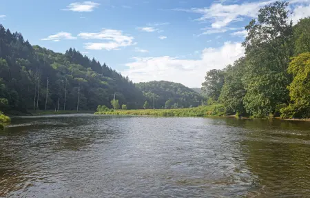 Maison 12 pers. à Rochehaut, vue panoramique Ardennes : photo 39