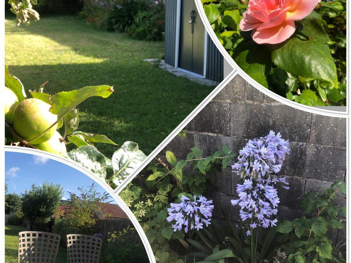 Gîte 6 pers. Saint-Vaast-la-Hougue, jardin clos - Photo 22