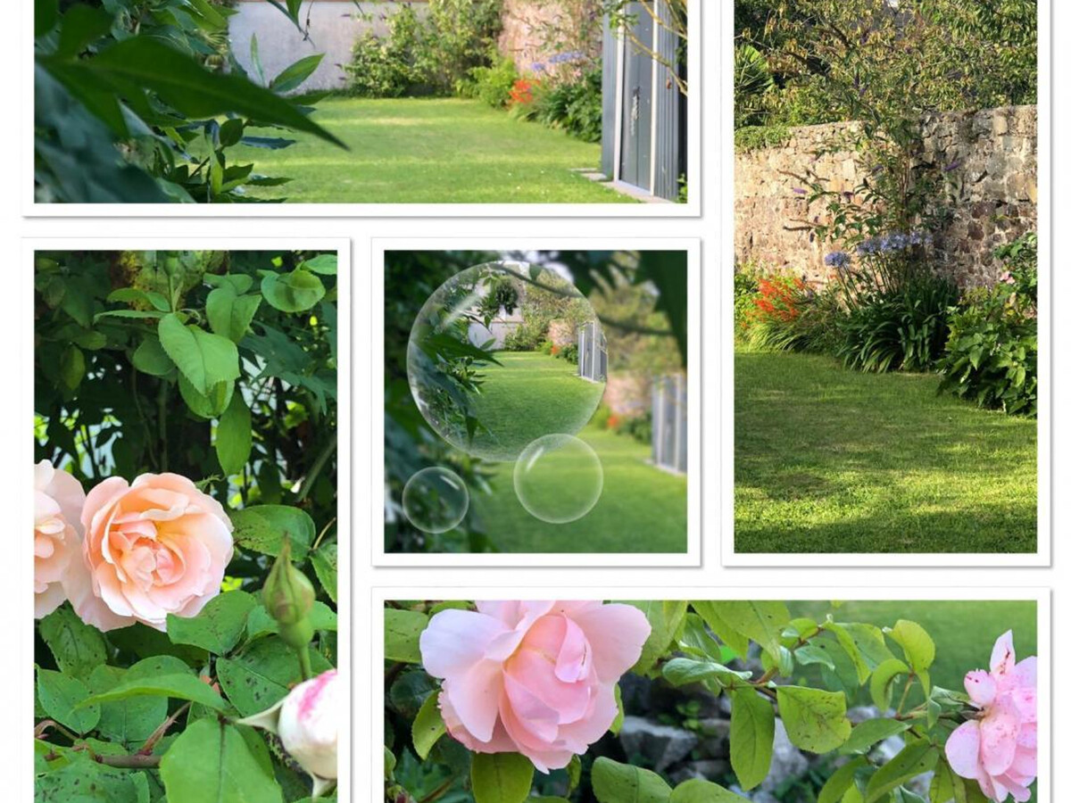 Gîte 6 pers. Saint-Vaast-la-Hougue, jardin clos - Photo 24