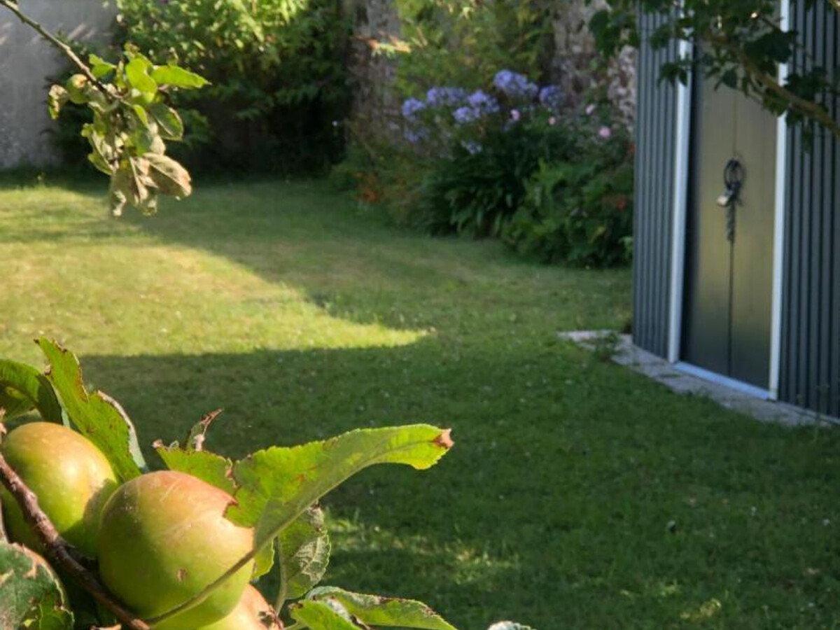 Gîte 6 pers. Saint-Vaast-la-Hougue, jardin clos - Photo 25