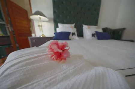 Villa charmante à Le Lamentin avec piscine, Villa 2 personnes à Le Lamentin - Photo 5