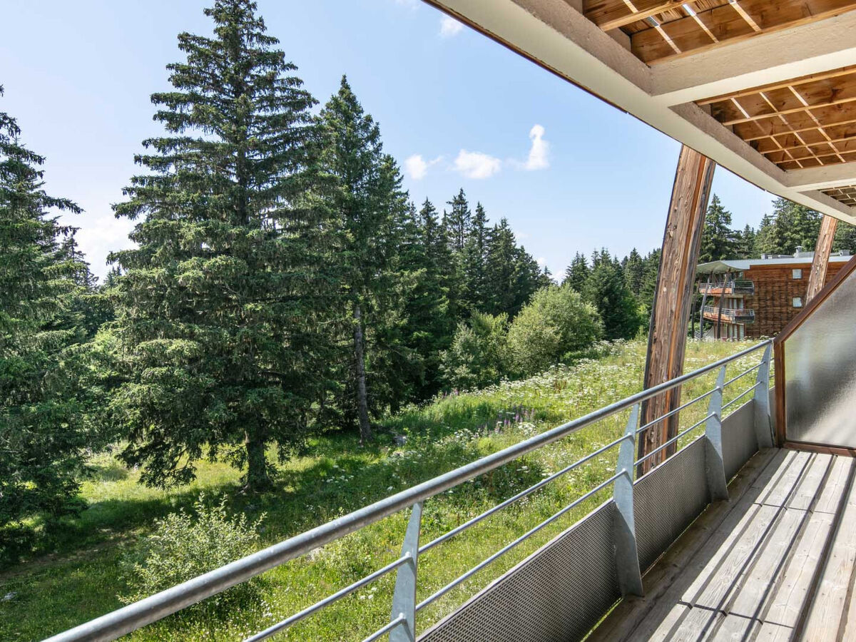 Studio 6 personnes Chamrousse, vue montagne et balcon - Photo 6