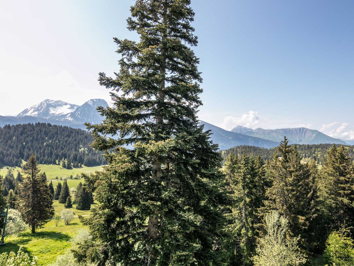 Studio 38 m² Chamrousse, 6 couchages, vue montagne - Photo 11